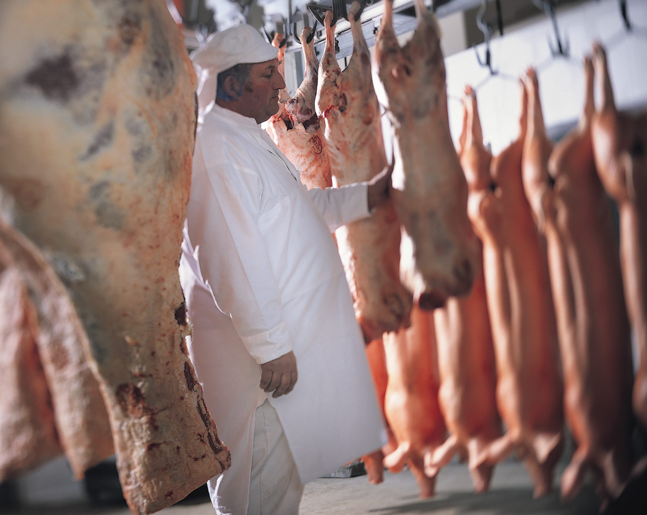 A Comprehensive Guide to Sourcing Halal-Certified Meat: What You Need to Know: