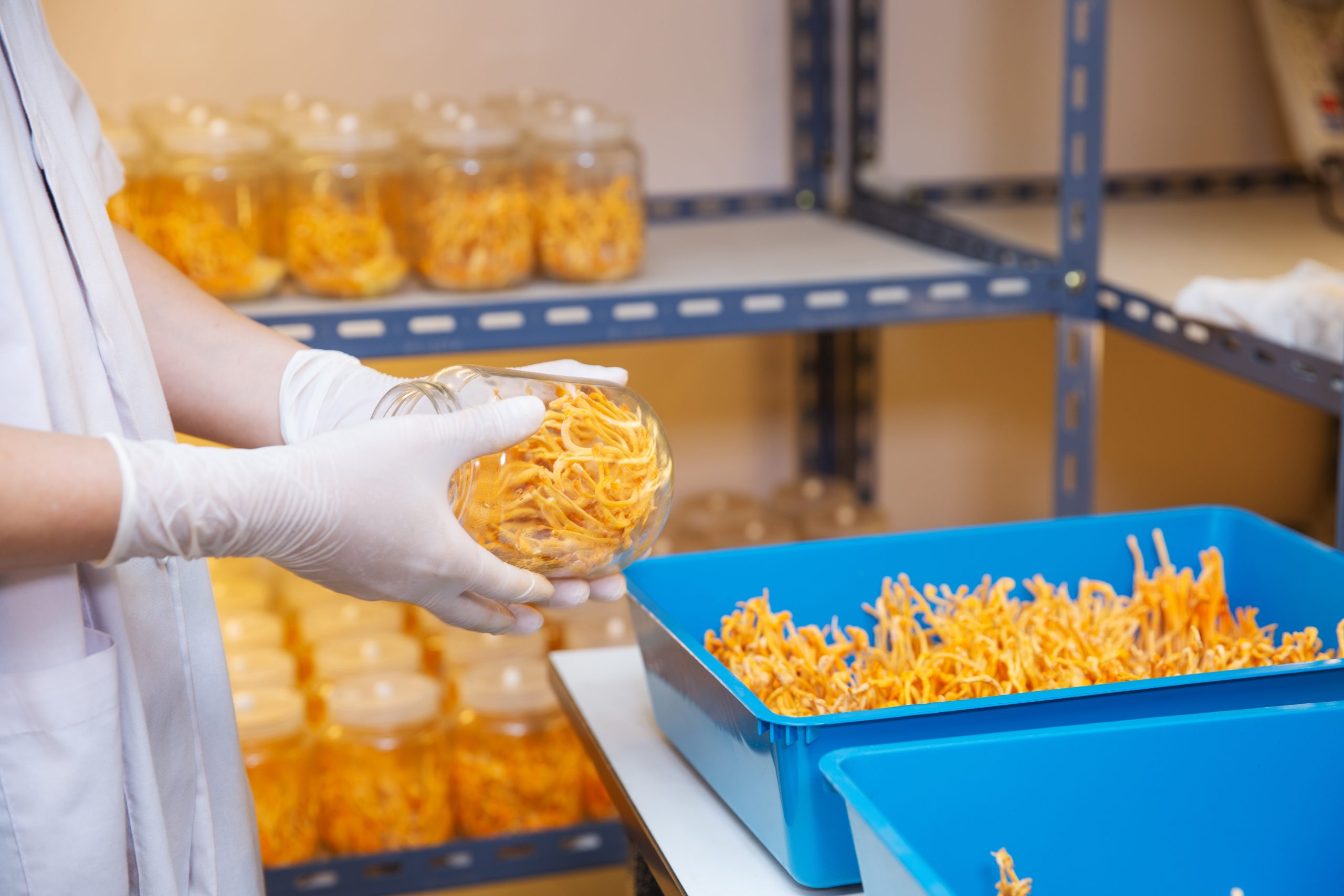 Storage Solutions and Food Safety Tips for Handling Halal Ingredients: