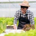 Sustainability in the Kitchen: How Ethical Sourcing is Shaping the Future of Food: